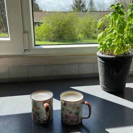 Sommerhus Henne * Хенне-Странн